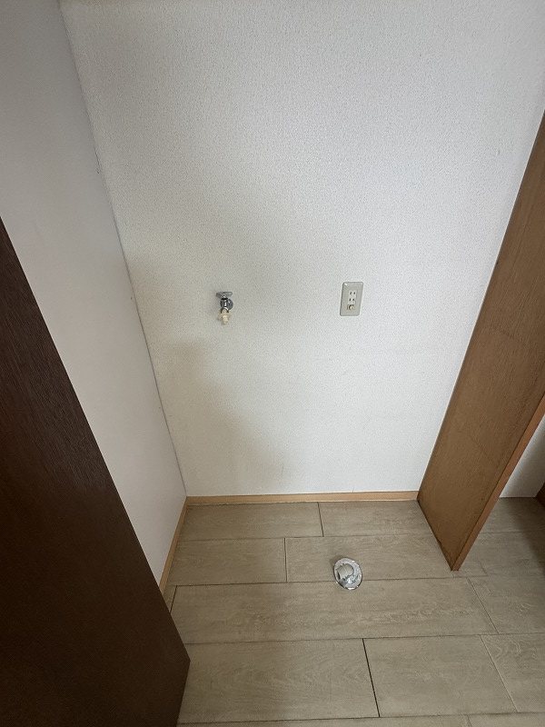 ホーキーポーキー その他