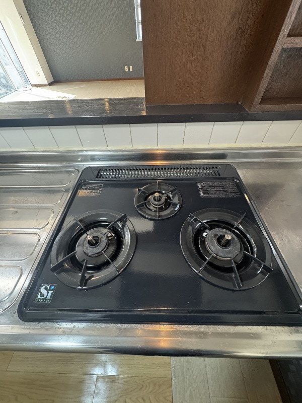 ホーキーポーキー その他