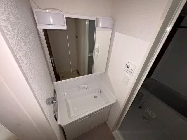 リバーサイド鎗田 洗面所