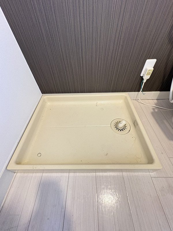 ホーキーポーキー その他