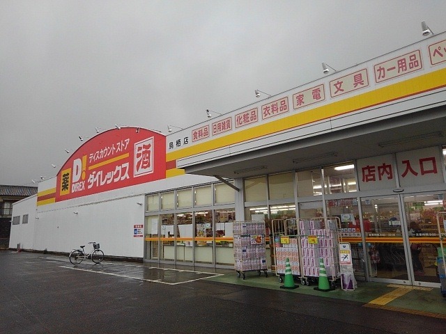 プリムローズ桜 その他