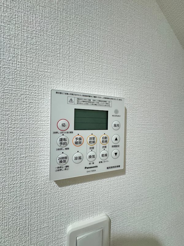ヴィオラ その他