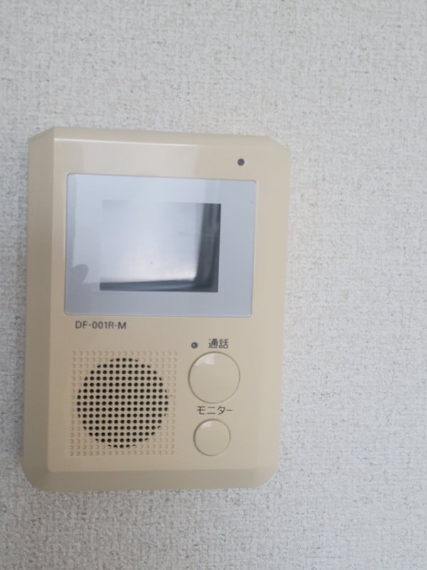 レオネクストフランジュール竹田   セキュリティ
