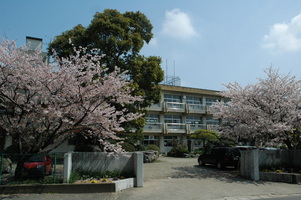 RENATUS PRESAGE 小学校