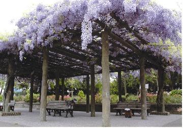 ロイヤル陽光園 公園