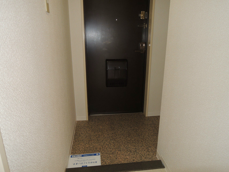 ドミソレイユ 玄関