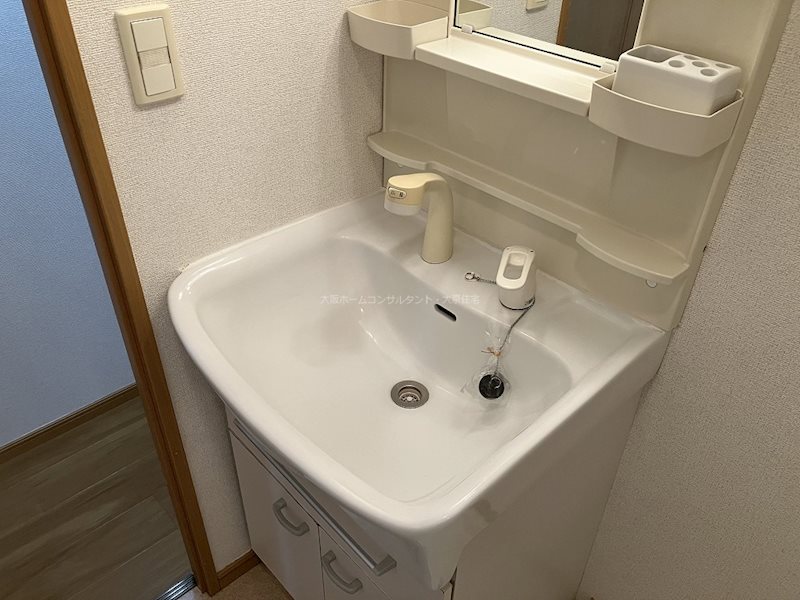 セイバリーレイン 洗面所