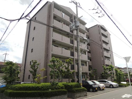エオリアンハープ 外観