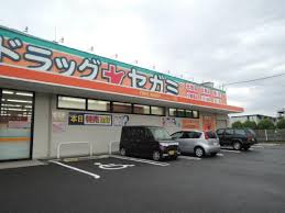 ピオニー久宝寺 ドラッグストア