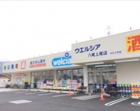 シャーメゾン　Ｈｉｋａｒｉ ドラッグストア