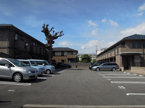 ルピナス  駐車場