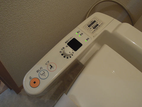 ルピナス  トイレ