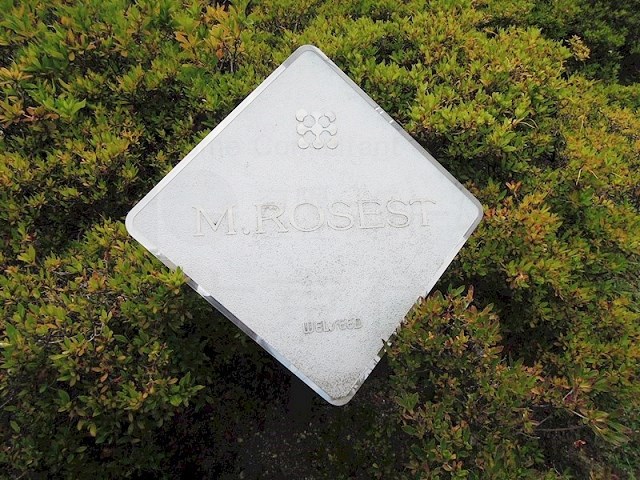 M･ROSEST その他