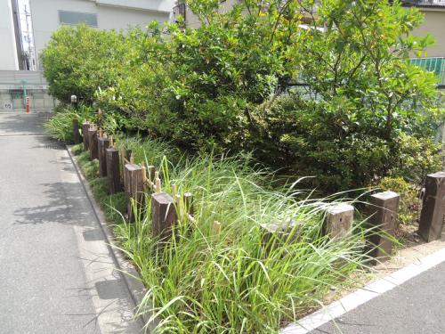 カーサフィオーレ壱番館 その他共有部分