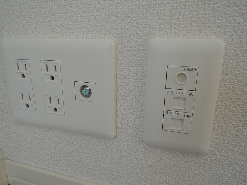 クリサンテーム  その他