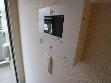 ルミエール東太子 その他設備
