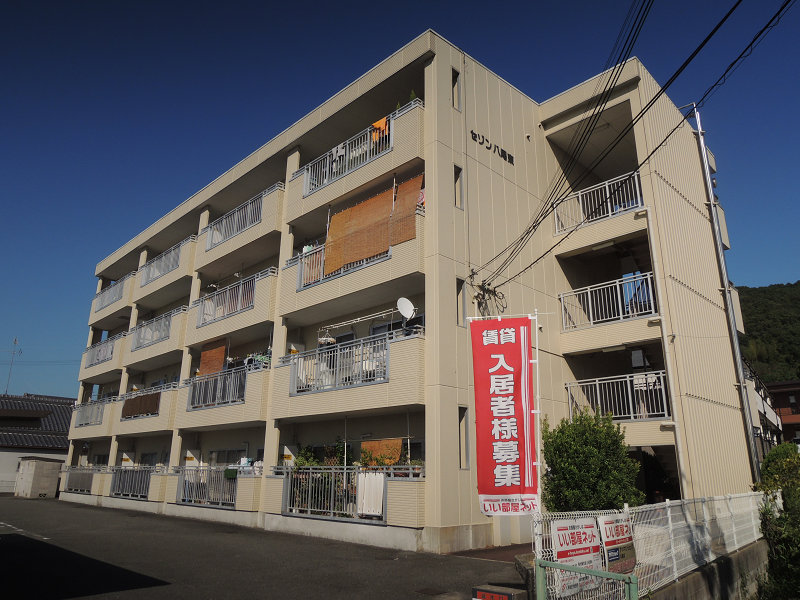 セゾン八尾東 外観