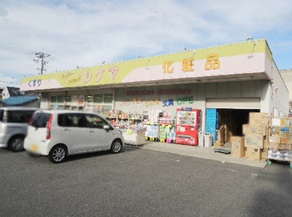 ドムスogawa  ドラッグストア