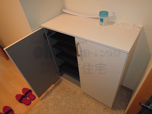 ルミエール八尾駅前 玄関