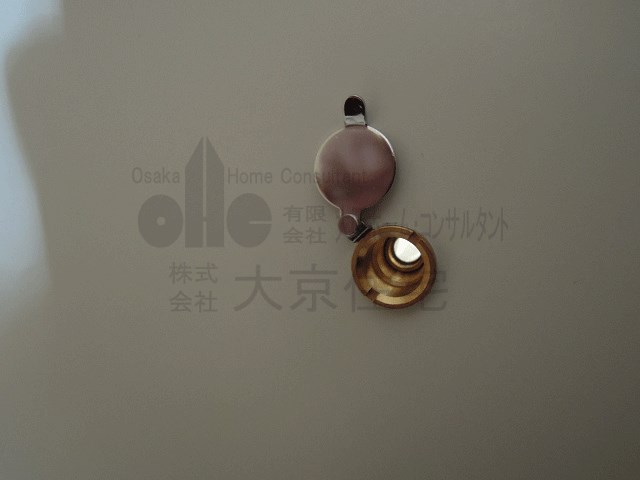 ルミエール八尾駅前 その他
