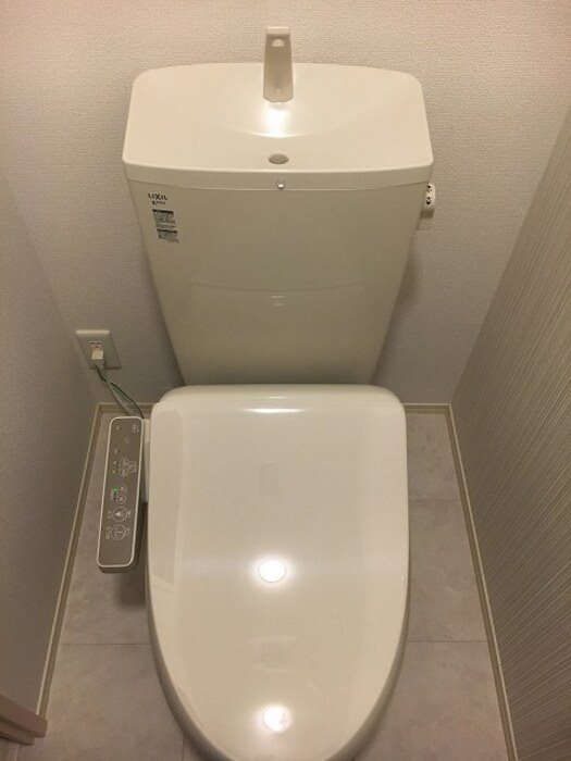プルメリア トイレ
