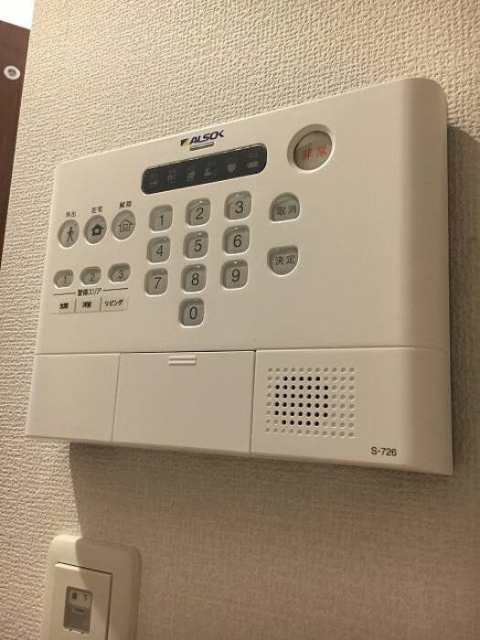 プルメリア セキュリティ