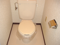 ハイグレード志紀 トイレ