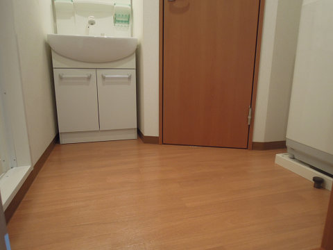 グランディエビス 洗面所