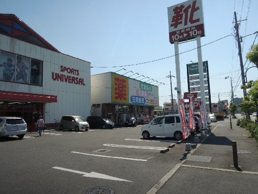 沼ハイツ ドラッグストア