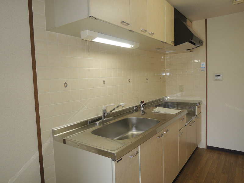 アイレックスプラザ（Gタイプ） キッチン