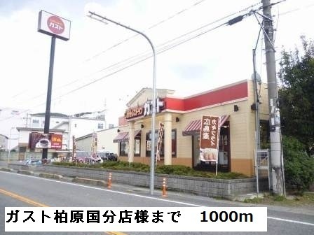 スペイシア友貴 その他