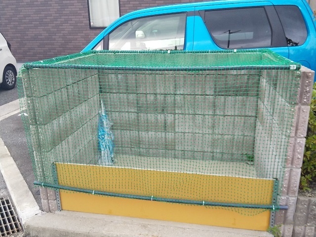 レオネクストリトルスクウェア その他