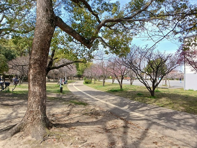 パーク　ヴィラ その他