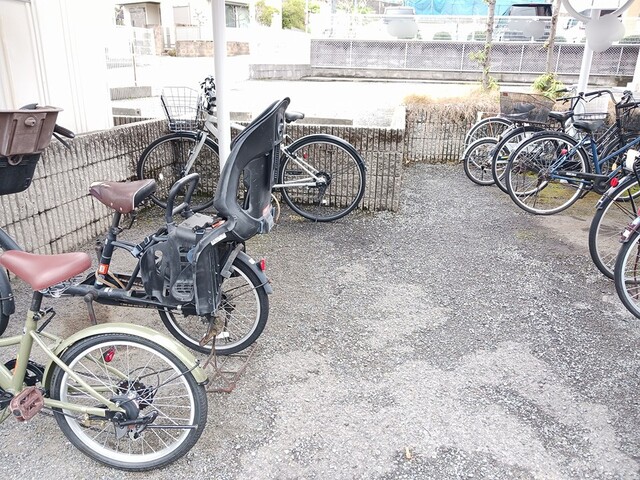 サングレイス その他