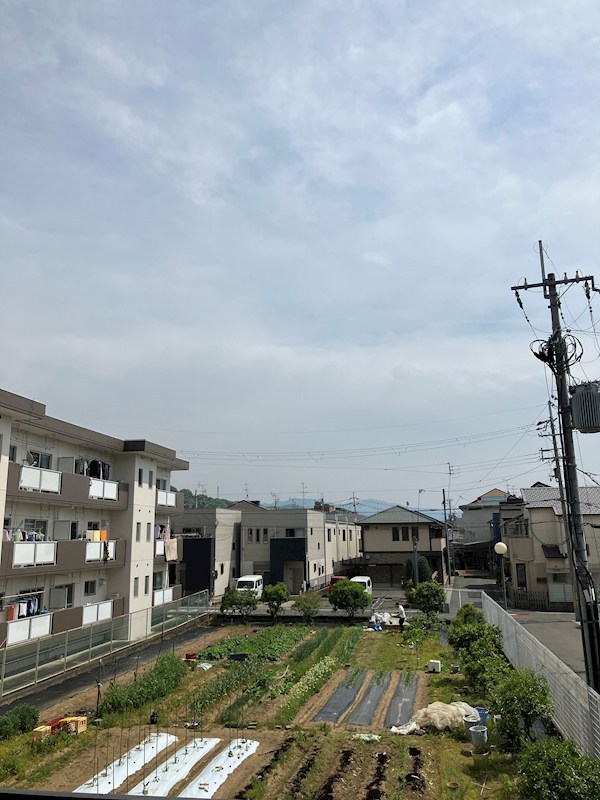 シャトーアルベール 眺望