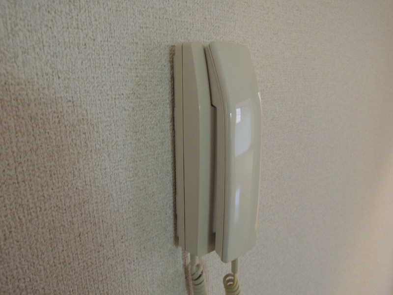 プリュジュール セキュリティ