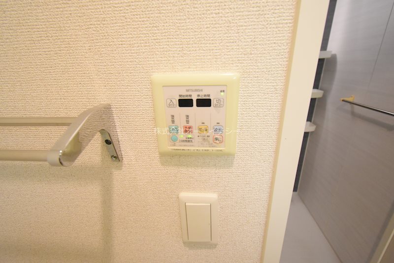 ブルーメナウ その他