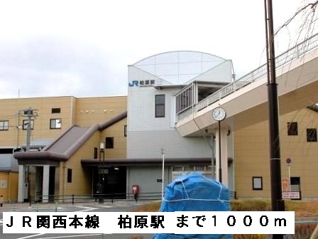 セレノ　アロッジオⅡ その他