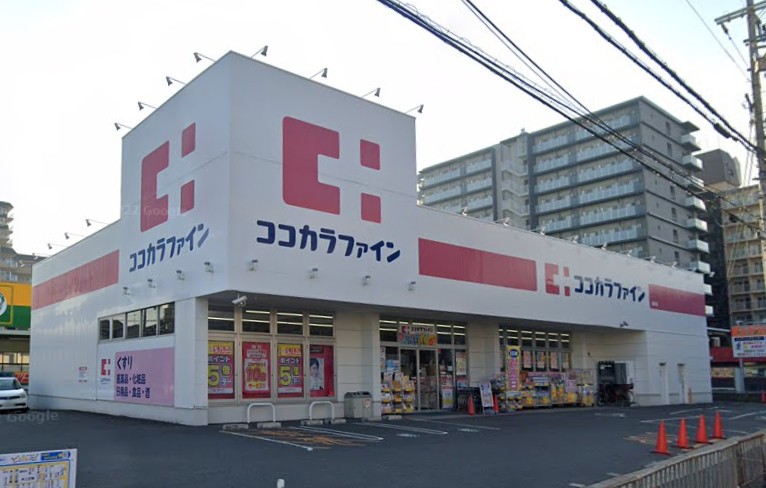 フジパレス弥刀駅東 ドラッグストア