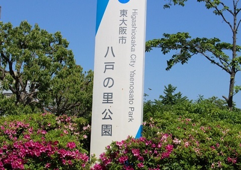 シャーメゾン下小阪Ⅲ 公園
