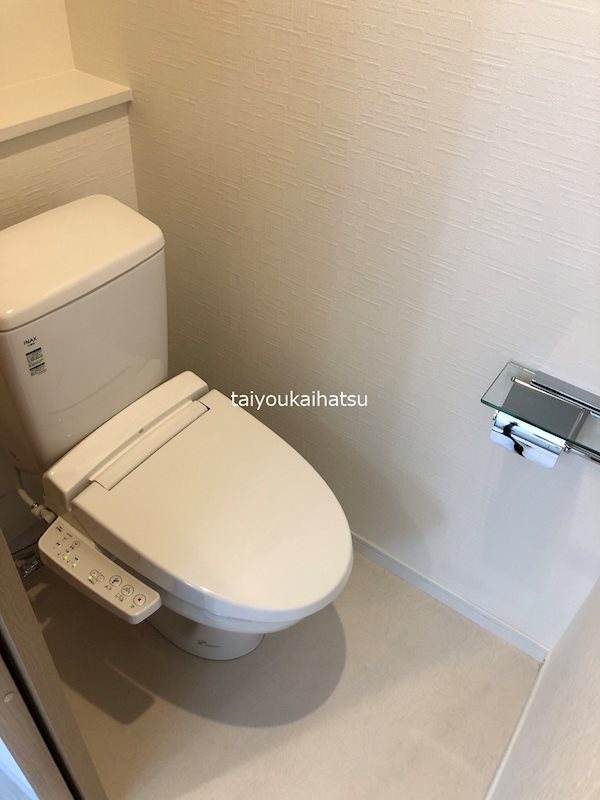 イリスパイラブライト　武之橋アイル トイレ