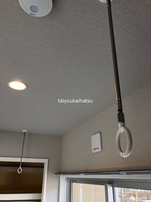 イリスパイラブライト　武之橋アイル その他