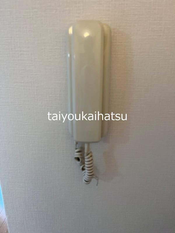 パルティール セキュリティ