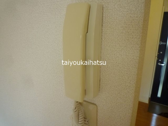 ヴィサージュJ その他1