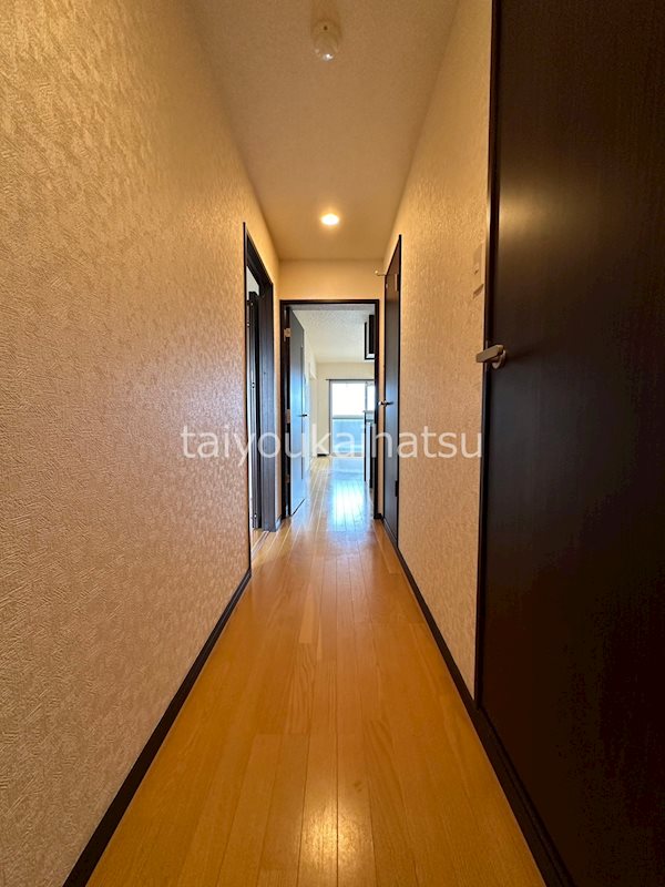 フロスト平松 その他6