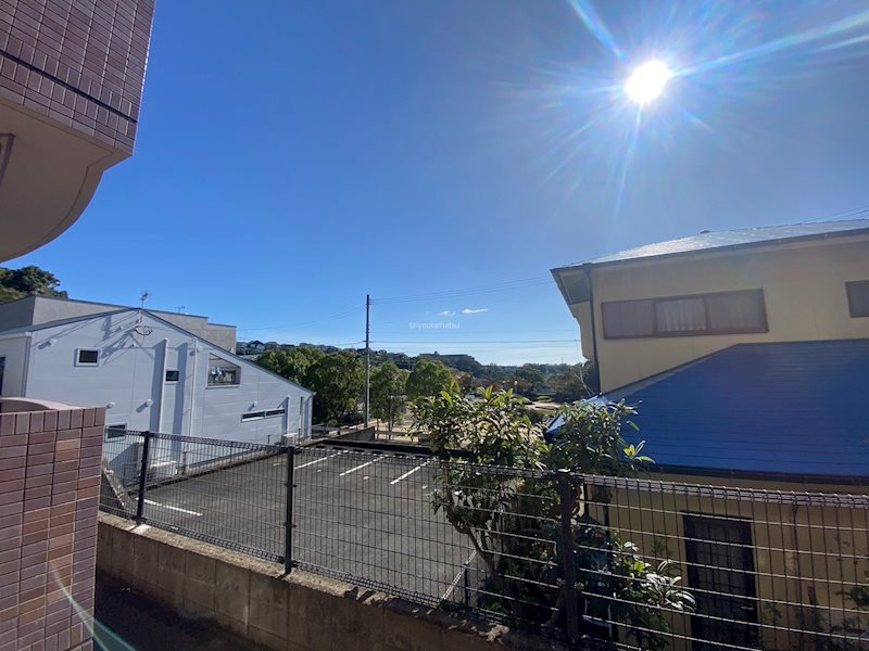 パルあじさい その他5