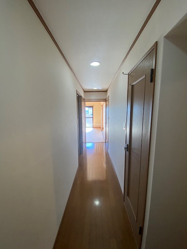 パルあじさい その他12