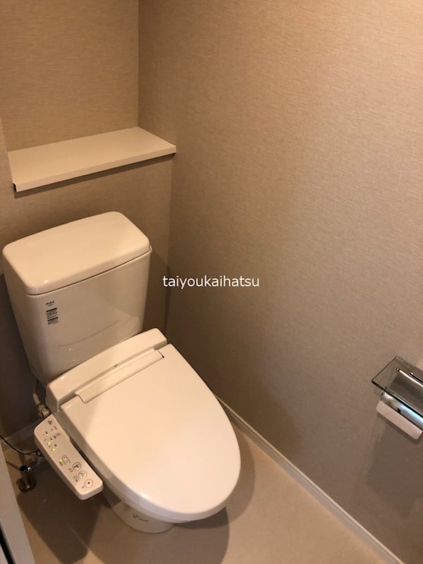 イリスパイラブライト　武之橋アイル その他1