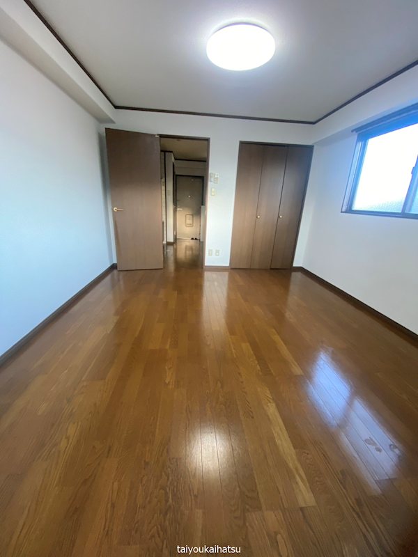 ディスポートⅠ その他4