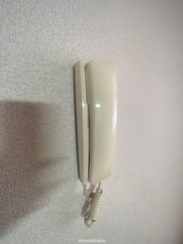 ディスポートⅠ その他5